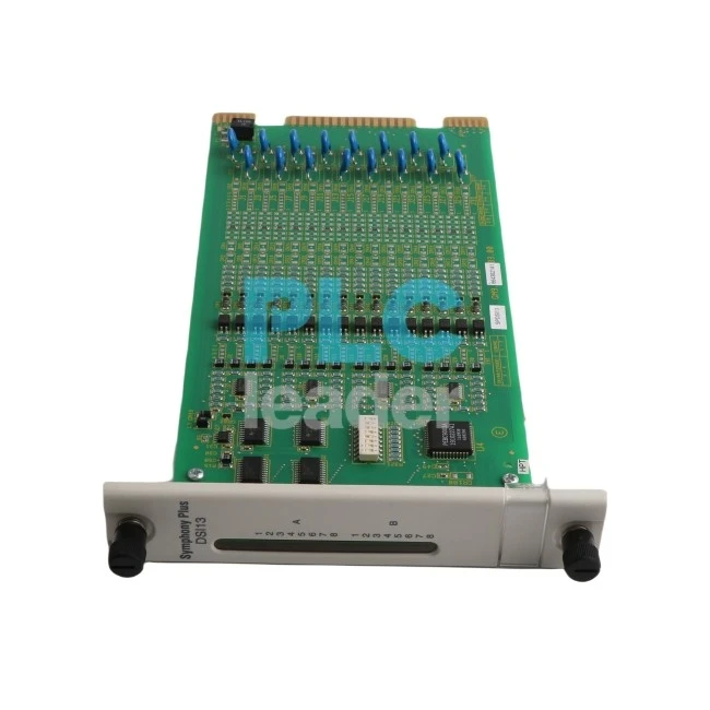 Digital Input Slave Module SPDSI13 Digital Input Slave Module SPDSI13